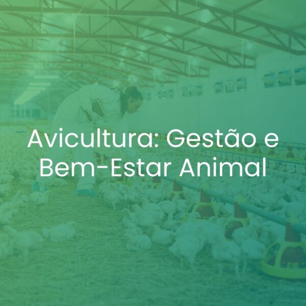 Avicultura: Gestão e Bem-Estar Animal