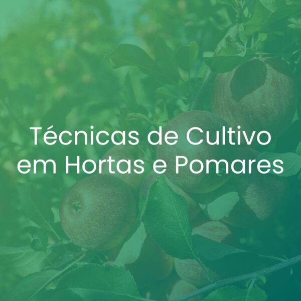 Técnicas de Cultivo em Hortas e Pomares